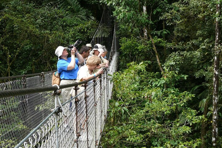 1 Full Private Tour to Arenal Volcano + Baldi Hot Springs - Photo 1 of 13